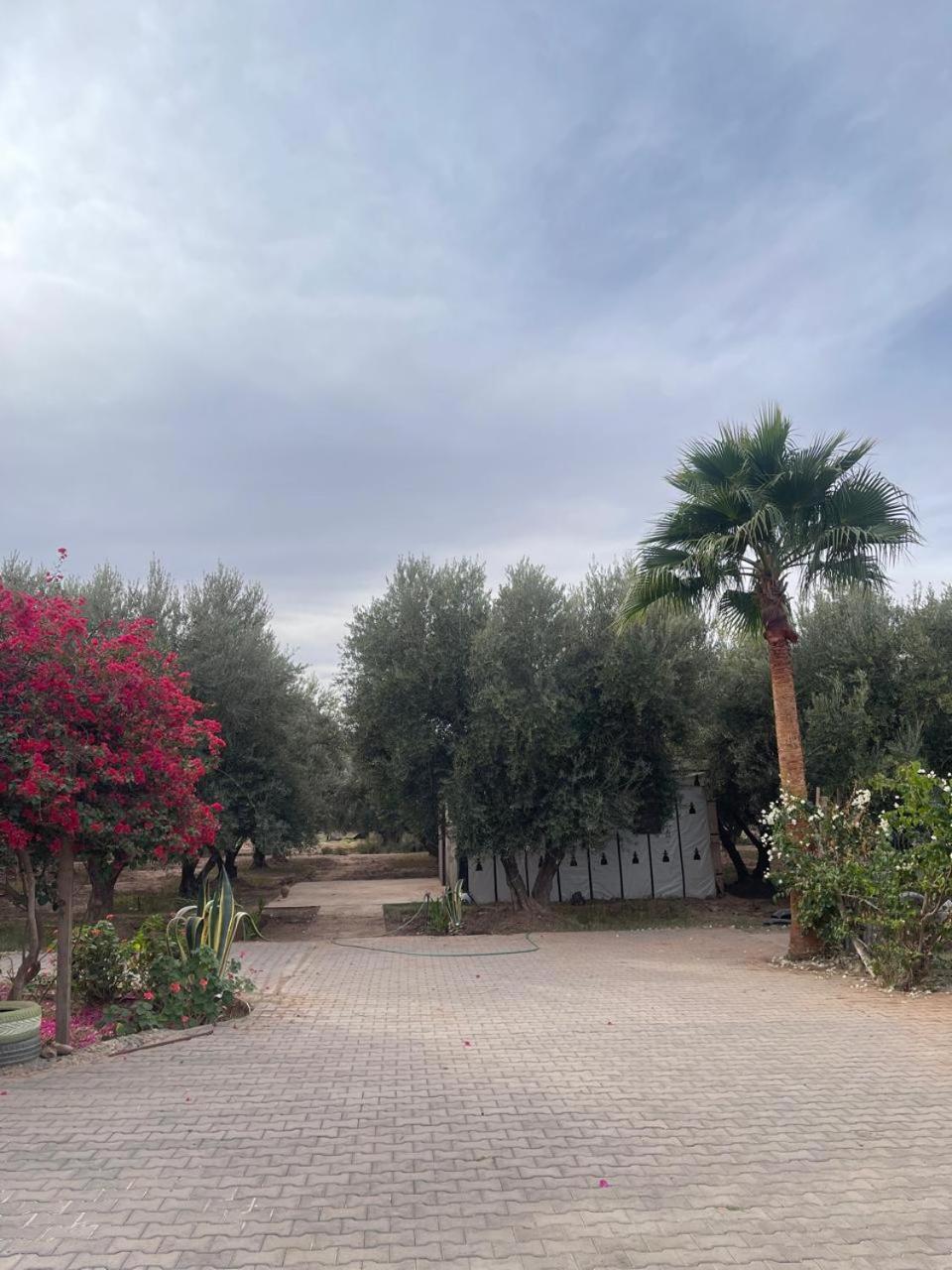 Riad Oussari Marrakesh Esterno foto