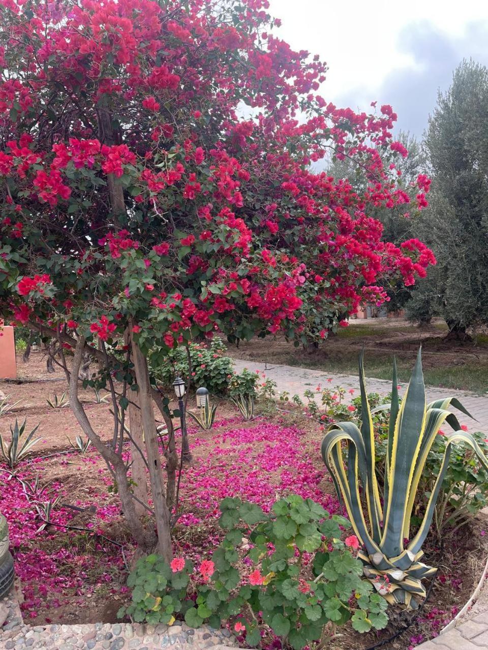 Riad Oussari Marrakesh Esterno foto